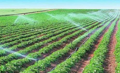 嗯嗯啊啊啊骚货麻豆视频农田高 效节水灌溉